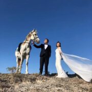 Santorini horseriding tour