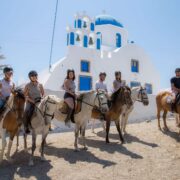 Santorini horseriding tour