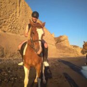 Santorini horseriding tour