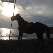 Santorini horseriding tour